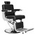 Hair Salon Chairs for Hair Stylist Tattoo Armchair Beauty