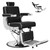 Hair Salon Chairs for Hair Stylist Tattoo Armchair Beauty