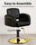 Salon Chair, Luxury Hydraulic Styling Chair with Soft PU Leather, High