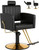 Salon Chair for Hair Stylist, Hair Barber Chair with Heavy Duty
