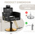 Salon Chair for Hair Stylist, Hair Barber Chair with Heavy Duty