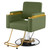 Salon Chair, Height Adjustable Gold&Green Salon Beauty Spa Styling Equipment