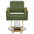 Salon Chair, Height Adjustable Gold&Green Salon Beauty Spa Styling Equipment