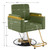 Salon Chair, Height Adjustable Gold&Green Salon Beauty Spa Styling Equipment