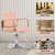 Salon Chair Styling Barber Chair, Beauty Salon Spa Equipment with Heavy Duty