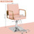 Salon Chair Styling Barber Chair, Beauty Salon Spa Equipment with Heavy Duty