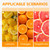 Hand Juicer Squeezer with Heavy Duty Handle