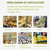 Sugar Cane Juicer Manual Sugarcane Juice