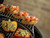 Weber Master-Touch Charcoal Grill, 22-Inch, Black – Premium Outdoor BBQ Grill
