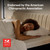 Nectar Classic 12” Queen Mattress - Medium Firm - Contouring Memory Foam - Cooling Top Layer - Back Pain Relief