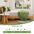 EGOHOME Full Size Memory Foam Mattress, 8 Inch Bed Mattress in A Box with Cooling Green Tea Gel, Pressure Relief with Medium Firm Support
