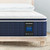 14 Inch Euro Top Medium Plush Twin Size for Cloud-Like Sleep, Individual Pocket Springs with CertiPUR-US Certified Foam for Pressure Relief
