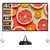 Outdoor Projector Screen with Stand 100 Inch: Portable Projection Screen 16:10 4K HD Outdoor Movie Screen with Carry Bag