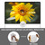 Outdoor Projector Screen with Stand 100 Inch: Portable Projection Screen 16:10 4K HD Outdoor Movie Screen with Carry Bag