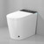 Toilet with Bidet For Small Bathroom, Auto Flush, LED Night