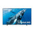 Samsung 98-Inch Class 4K Crystal UHD DU9000 Series HDR Smart TV, Object Tracking Sound Lite, Motion Xcelerator 120Hz
