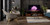 LG OLED C1 Series 55” Alexa Built-in 4k Smart TV (3840 x 2160), 120Hz Refresh Rate, AI-Powered 4K, Dolby Cinema
