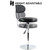 Salon Chair Mini Barber Shop Stool with Backrest for Manicure, Tattoo