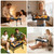 KDD Bed Tray Table with Folding Legs,Breakfast Tray with Removable Cup Holder & Phone Tablet Holder,Foldable Lap Tray for Bed, Sofa,Laptop Desk,Working,Snack, Kitchen Serving Tray,TV Table,Reading