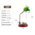 Bankers Lamp, Traditional Green Desk Lamp with Solid Birch Wood Base, Green Glass Antique Library Lamp with Pull Chain Switch, Plug in Vintage Bankers Desk Lamp for Office, Study Room 【E26 Socket】