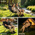 Oversized Camping Chairs Set of 2, Padded Camping Chair Heavy Duty Lawn Chairs