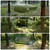 Hammock Tent with Mosquito Net Waterproof Rainfly for 1 Person