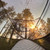 Night Cat Hammock with Mosquito Net: Portable Camping Hammock with Tree