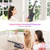 Schenley Steam Mop Cleaner with Detachable Handheld Steamer for Cleaning Hardwood, Laminate Floor, Tiles and Grout