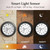 Pytha Sight 24 Inch Silent Large Outdoor Clock for Patio, Pool,Porch,Garden,Backyard