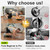Upgrade Ab Roller Wheel Detachable Abdominal Wheel With 360° for Core Workout, Multi-Directional Abs Roller Board For Full body exercise Home Gym of All Fitness Levels, Ab Trainer with 8 Wheels