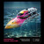 BEZGAR RC Boat, 12 inch Remote Control Boat for Kids and Adults, 25 KPH Fast RC Speed Boats with 2 Batteries, Ideal Waterproof Toy for Pool & Lake - TX136