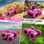QUNREDA RC Cars, Rose Remote Control Car for Girls, 2.4 GHZ Double Sided RC Stunt Car 360° Rotating Remote Control Crawler with Headlights Car Toys for 6 7 8 9 10 11 12 Girls Birthday Gift