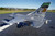 FMS F-16C Fighting Falcon 70mm EDF PNP with Reflex, Super Scale RC Airplane Jet (No Radio, Battery, Charger)