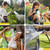 Shower Tent for Camping, Portable Outdoor Privacy Shower Tent