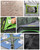 4/6 Person Instant Tent, Camping Tent Setup in 60 Seconds, Waterproof Pop