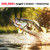 Bass Fishing Lure for Freshwater and Saltwater Lifelike Fishing