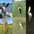 Fishing Lures, Glide Swim Bait Lure Freshwater and Saltwater for Bass