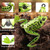 Topwater Frog Lures - 5PCS Hollow Body Frog Lures for Walleye Fishing,