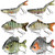 6pcs Fishing Lures for Freshwater and Saltwater, IEVEI Slow Sinking Most Lifelike