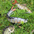 6pcs Fishing Lures for Freshwater and Saltwater, IEVEI Slow Sinking Most Lifelike