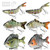 6 Pcs Fishing Lure Set with Durable Hard Plastic Tackle Box | Bass Trout Saltwater