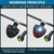 Fishing Bite Alarm with 10 Bonus Batteries – LED & Sound Alert
