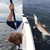 Fish Gaff with Stainless Sea Fishing Spear Hook Tackle, Soft Handle
