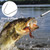 Fishing Gaff Aluminum/Fiberglass Pole with Nonslip