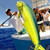Fishing Gaff Fishing Hook - Stainless Steel Extra