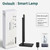 Desk Light for Colleage Drom Room Office, Eye-Caring Table Lamp with Night Light, Lamp for Desk with 10W Wireless Charger