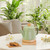 Ceramic Electric Kettle 1.2L, Automatic Shut Off Tea Kettle & Hot Water Boiler