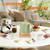 Ceramic Electric Kettle 1.2L, Automatic Shut Off Tea Kettle & Hot Water Boiler
