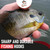 Fishing Hooks Freshwater - Trout - Crappie - Bluegill