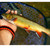 Fly Floating Fishing Net Carbon Fiber Landing Trout Net